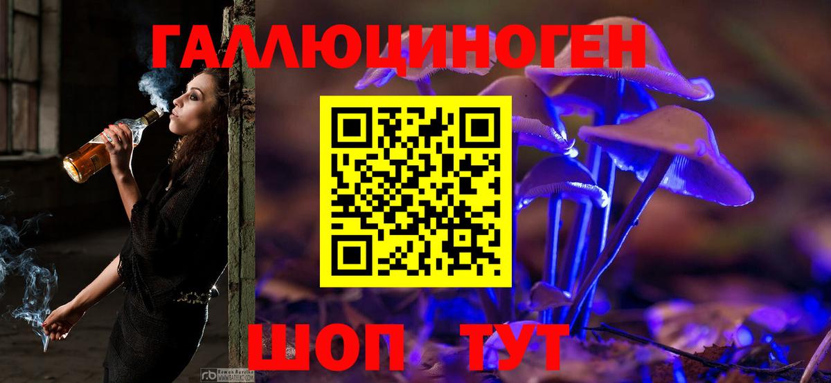 Псилоцибиновые грибы GOLDEN TEACHER Курск